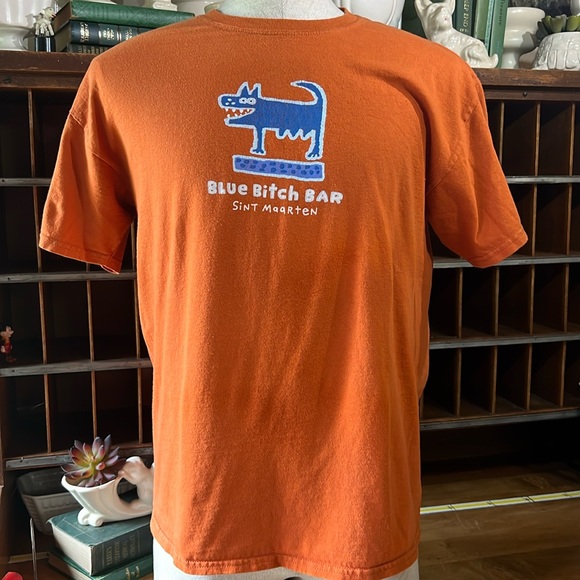 Gildan Other - Blue B*tch Bar: Gildan Men's Orange and Blue T-shirt. Sint Maarten Size: L